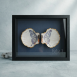 Twee kleine sint-jakobsschelpen in een lijst